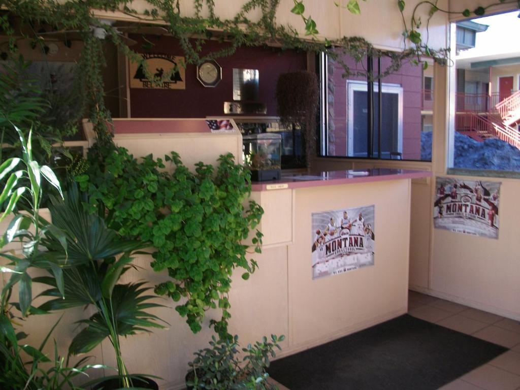 Bel Aire Motel מיסולה מראה חיצוני תמונה